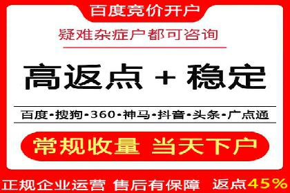 SEM公司成功案例分享：搜索引擎优化的力量